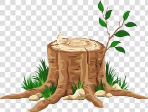 Partial Tree Trunk Free Png   Tree Stump Transparent Background  Png Download