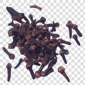 Transparent Cloves Png   Chocolate  Png Download