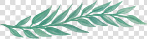 Free Greenery Watercolor Png   Png Download   Png Transparent Leaf Watercolor Png  Png Download