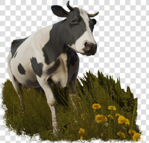 Cow Sansbg   Pure Farming 2018 Animals  HD Png Download