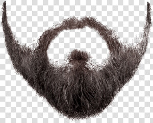 Beard Png Image Transparent Background   Beard Transparent Png  Png Download