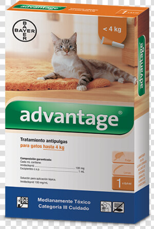 Advantage® Gatos  HD Png Download