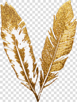  freetoedit  gold  glitter  aesthetic  png  feather   Transparent Gold Feather Png  Png Download