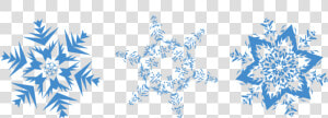 Snowflakes Png Image   Free Png Snowflakes  Transparent Png