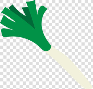 Leek   Png Download  Transparent Png