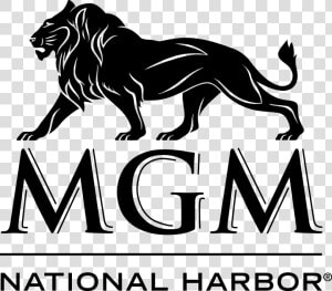 Mgm Logo Png  Transparent Png