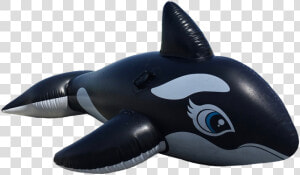 Wal  Killer  Orca  Marine Mammals  Float  Toys   Schwimmhilfe Png  Transparent Png