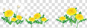 Res  Flower Border By Hanabell1 On Clipart Library   Transparent Flower Border  HD Png Download