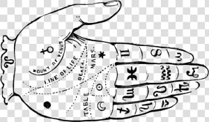 Palm Reading Diagram   Fortune Teller Hand Png  Transparent Png