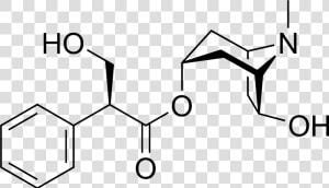 Anisodamine Chemical Structure   Boc L Phenylalanine Methyl Ester  HD Png Download