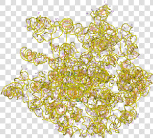 Pdb 1c2w Ebi   Arnr 23s  HD Png Download