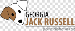 Georgia Jack Russell   Haiti Relief  HD Png Download