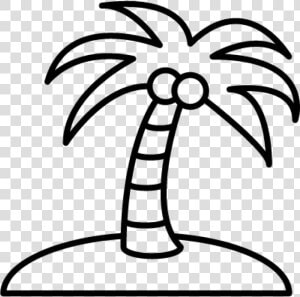 Transparent Palm Tree With Coconuts Clipart   Coconut Tree Clipart Black And White  HD Png Download