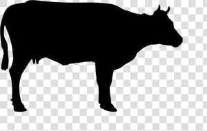 Cow Silhouette Clipart   Black And White Cow Png  Transparent Png