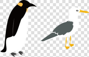 Penguin Vector Png   Intermediate Egret Flat Illustration  Transparent Png