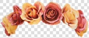  flower  flowercrown  orange  crown  red  oprah  yellow   Orange Flower Crown Png  Transparent Png