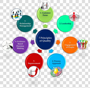 7 Principles   7 Principles Of Quality Management  HD Png Download