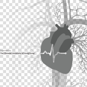   Illustration   Heart Failure Png  Transparent Png