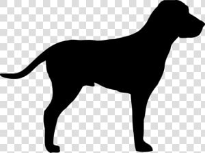 Pointer  Dog  Doggy  Outline  Animal  Coat  Shape   Transparent Dogs Black Shape  HD Png Download