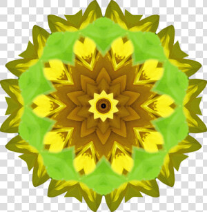 Sunflower Kaleidoscope 6 Clip Arts   Clip Art  HD Png Download