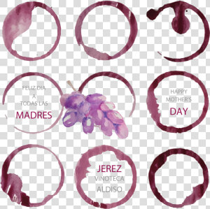 Wine Vector Stain   Mancha De Vino Vector  HD Png Download