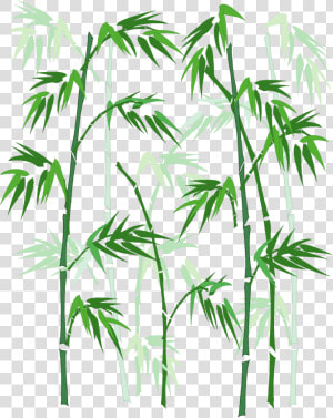 Vector Hand painted Bamboo Png Download   Bamboo In Window Glass  Transparent Png