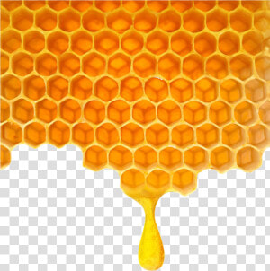 Poly Honey Honeycomb Png Download   Honey Comb Clip Art  Transparent Png