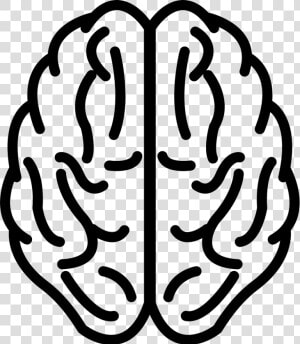 Brain Upper View Outline   Brain Outline Png  Transparent Png