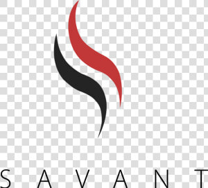 Savant Ss   Data Guides Design Logo   Ss Logo Design Png  Transparent Png