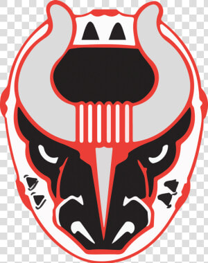 Birmingham Bulls  Birmingham Hockey  Bulls Hockey    Birmingham Bulls Logo  HD Png Download