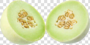 Honeydew  HD Png Download