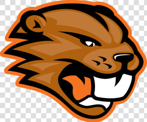 Clip Art File Png Wikimedia Commons   Beaverton High School Beaver  Transparent Png