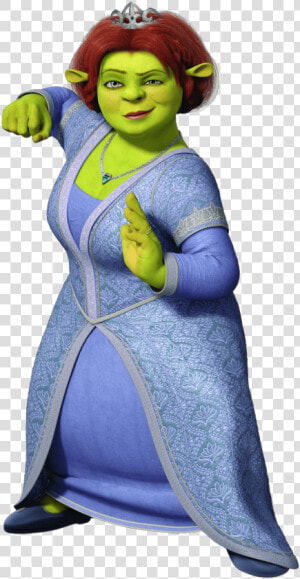 Princess Fiona Fighter   Shrek Fiona  HD Png Download