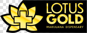 Lotus Gold Dispensary By Cbd Plus Usa   Lotus Gold By Cbd Plus  HD Png Download