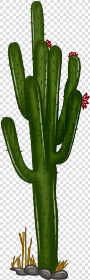 Saguaro Cactus Clipart Getdrawingsm For   Transparent Background Cactus Clipart Png  Png Download