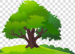 Mango Tree Clip Art   Mango Tree Clipart Png  Transparent Png