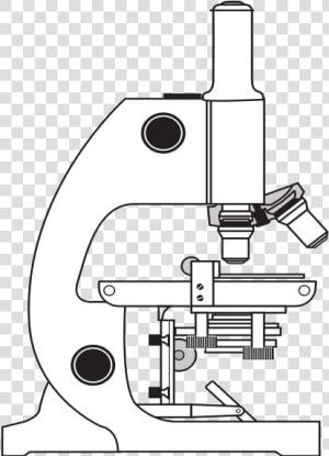 Simple Microscope   Use Light Microscope Ppt  HD Png Download