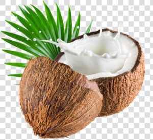 Coconut Png Image Transparent   Coconut Milk Png  Png Download