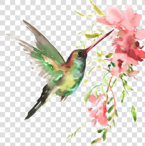 Watercolor Bird Download Hq Png Clipart   Beija Flor Em Aquarela  Transparent Png