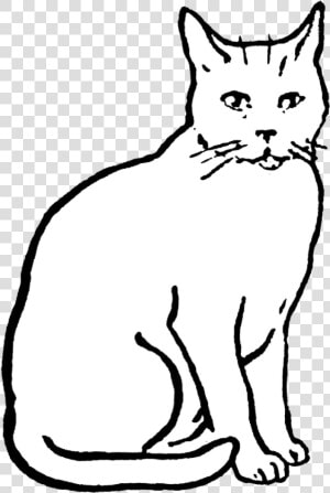 Cat Drawing  Animals Images  Digital Stamps Free  Clipart   Clip Art Of Cat  HD Png Download