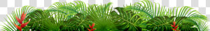 Saw Palmetto  HD Png Download