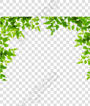 Leaves Border Nice Pretty   Transparent Background Leaf Border Transparent  HD Png Download