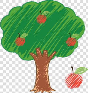 Tree Drawing Png   Apple Tree For Drawing  Transparent Png