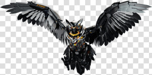 Asus Strix Owl  HD Png Download