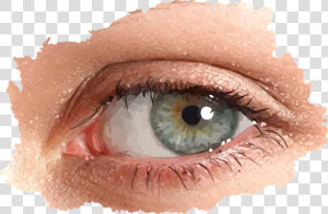 Œil Look Female Free Picture   Girl Real Eyes Png  Transparent Png