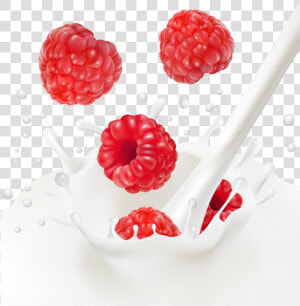 Raspberries With Milk  HD Png Download