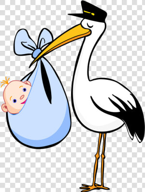 Stork Baby Png   Stork Clipart  Transparent Png