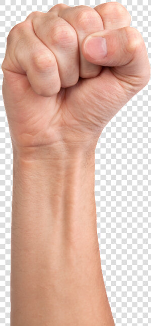 Raised Fist Stock Photography Royalty free Clip Art   Raised Fist Transparent  HD Png Download