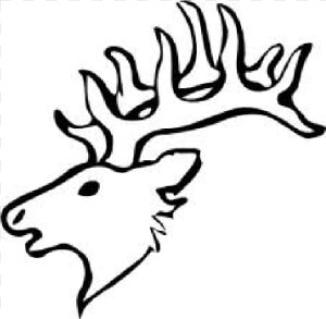 Elk Mother Deer Transparent Png Clipart Free Download   Elk Head Drawing Easy  Png Download