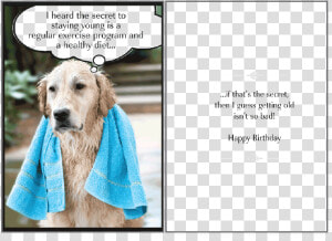 Secret To Staying Birthday Card   Dog Lover Happy Birthday  HD Png Download